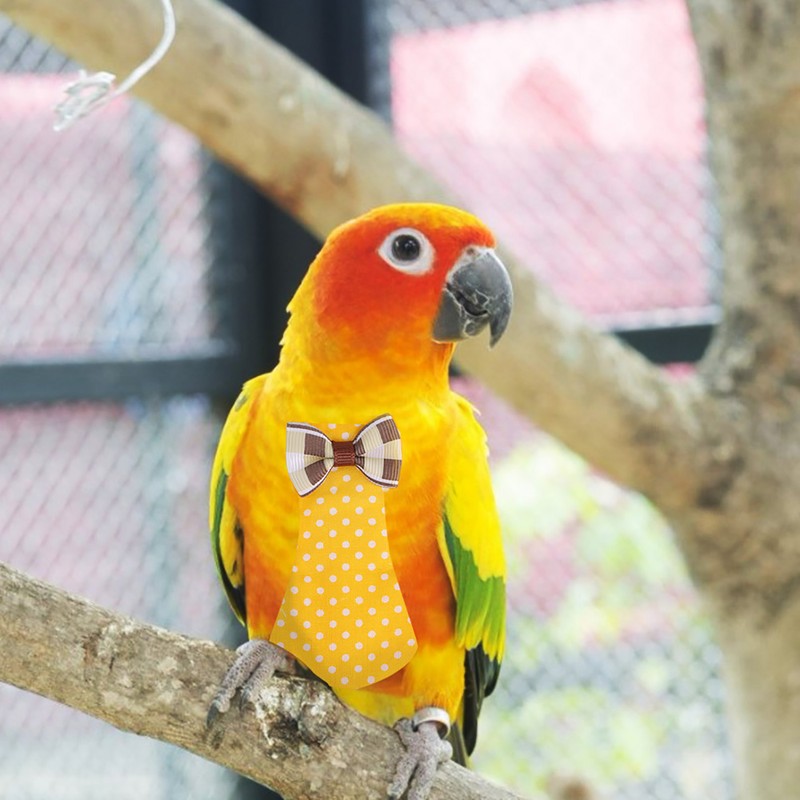 Reusable Parrot Pigeon Cockatiels Birds Diaper Flight Suits Nappy Flying