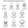 Stiesy 100pcs 10 Styles Antique Style Lock Charms Tibetan Silver