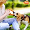 LaRoo Dog Flying Ring Toys, Floating Flying Dog Disc Toys,