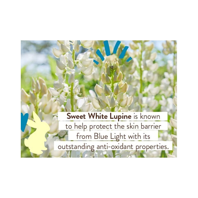 Babo Botanicals, Protector solar tintado mineral Daily Sheer Fluid SPF