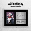 HWC Trading A4 Margot Robbie Suicide Squad Harley Quinn Presents