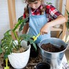 Doter Monstera Potting Soil 4qt - Premium Tropical Blend with