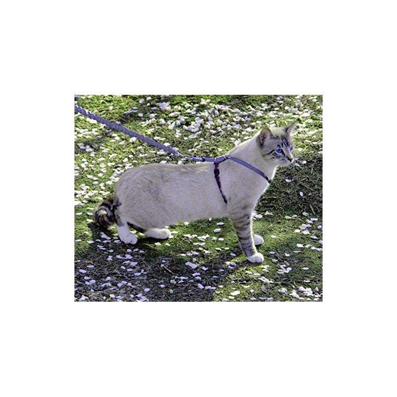 PetSafe Come with Me - Arnés de Gatito y Correa