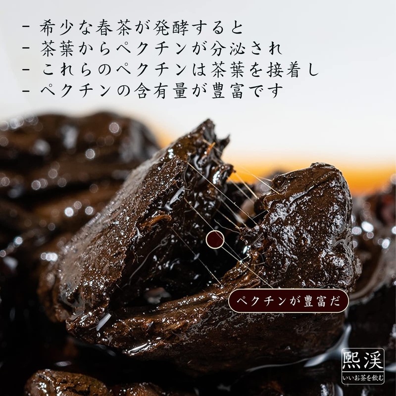 Hexi Pu'er Tea 8.8 oz (250 g) Fossil Tea Yunnan