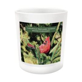 Enesco Izzy and Oliver Caring Cardinals Always in Our Hearts Scented Jar Candle, 7 Ounce, Winter Evergreen