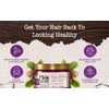 Maui Moisture Shea Butter Hair Mask 12 Ounce Jar (Heal/Hydrate)