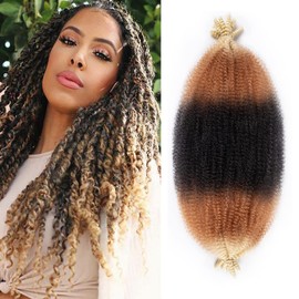 24 Inch Pre-Separated Springy Afro Twist Hair 8 Packs Black Pre-Fluffy Natural Curls are Perfect for Marley Crochet Hair Suitable for Black Women (1b / 27/613, 24 Inch (Pack of 8))