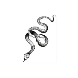 YEAHGOSHOPPING Black Snake Temporary Tattoo Stickers For Women Men Body Waist Waterproof- 3 pcs