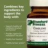 Standard Process Choline - Supports Healthy Fat Metabolism, Liver Health
