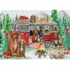 Christmas Time Camping with Nova Scotia Duck Tolling Retriever Dogs