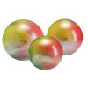 Gymnic Arte Plus Balls - 65 cm
