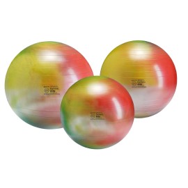 Gymnic Arte Plus Balls - 65 cm