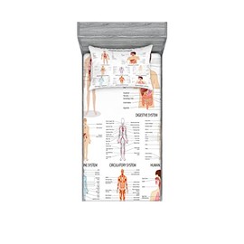 Ambesonne Vintage 2 Pack Fitted Sheet & Pillow Sham Set, Cartoon Body Print Biology, 4 Pcs Bedding Decor, Package Contains 2 Twin Size Fitted Sheets & 2 Pillow Covers, Eggshell