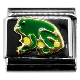 Fablinks Italian Bracelet Charms, 9mm Stainless Steel Charm Link for Women, Modular Jewelry Links for Men (Frog 1)