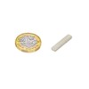 N42 Neodymium Magnet for Arts, Crafts, Model Making, DIY, Hobbies,