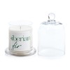 Apothecary Guild Scented Jar Candle with Glass Dome, 10.19 oz