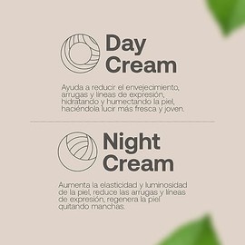 Kit Crema Día y Noche para Rostro de 90 ml C/U. Ingredientes Naturales. Adicionada con Vitamina C y Ácido Hialurónico. Kit Day and Night Cream B Life.