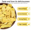 Freeze Dried Wild Mango Slices Candy 2-Oz No Sugar Added