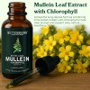 Mullein Gotas Extracto Hoja De Gordolobo Limpieza Pulmones