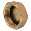 SKIR'CO (1 Piece) Brass 1 Inch Pipe Cap with Rubber