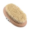 PROFICO Body Massage Brush (Tampico Exclusive Set)