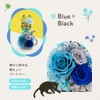 花冠seina Preserved Flower White/Black Cat Flower Gift Present Made in