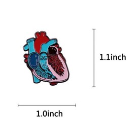 haohaoyu Human Organ Anatomical Heart Enamel Pin Brooch Anatomy Model Medical Science Badge Enamel Pin for DIY Backpacks Clothes Jeans Hats Badge and Gift