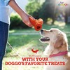 Dog Toys – Cogno by Doggo Box, Interactive Dog Toys
