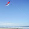 In the Breeze 3357 — Texas 77" Wave Delta Kite
