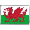 The Welsh Red Dragon Flag Magnet 5 X 7.5 CM