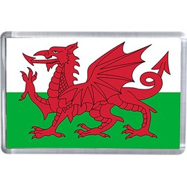 The Welsh Red Dragon Flag Magnet 5 X 7.5 CM