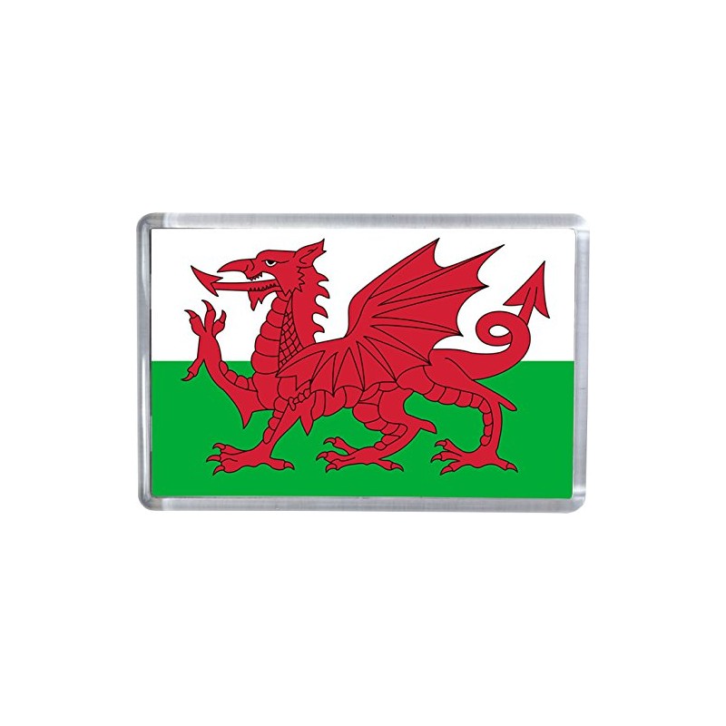 The Welsh Red Dragon Flag Magnet 5 X 7.5 CM