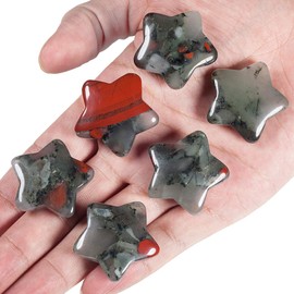 Nupuyai 5pcs Africa Bloodstone Carved Crystal Star Statue Pocket Worry Stone Set, Energy Healing Stone Figurine for Home Office Decor