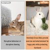 Hamiledyi Rabbit Chew Ball Bunny Timothy Grass Ball Natural Woven
