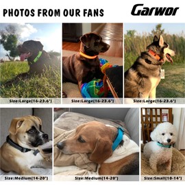 Garwor Reflective Dog Collar with Buckle, Adjustable Collars with Double D-Ring, for Large Dogs.(L, Purple)