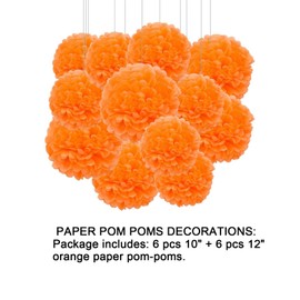 Aimto 12pcs Orange Paper Pom Poms Decorations for Party Ceiling Wall Hanging Tissue Flowers Decorations - 1 Color of 12 Inch, 10 Inch