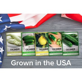 Cucumber Seeds for Planting Outdoors 5 Variety Pack Armenian, Boston Pickling, Lemon, Spacemaster, Straight Eight Veggie Seeds by Gardeners Basics