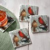Counterart Absorbent Tumbled Tile Stone Coaster Set - Winter Birds