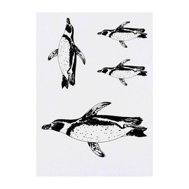 4 x 'Swimming African Penguin' Temporary Tattoos - Water Resistant, Skin-Safe, Non-Toxic Transfers, Mixed Sizes (TO00085246)