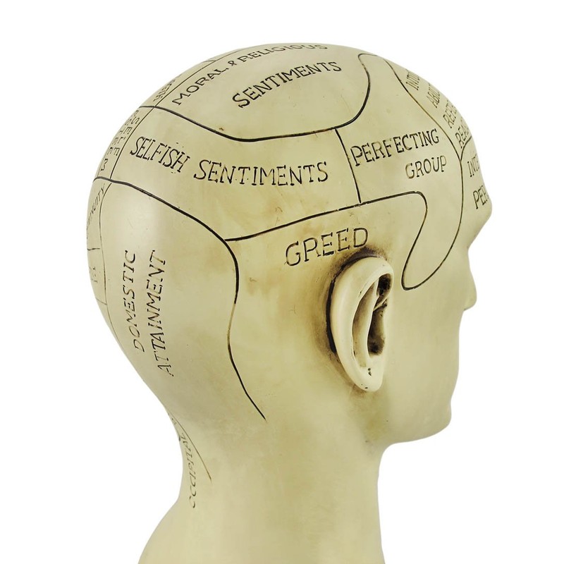 Things2Die4 Creepy Cast Resin Phrenology Head Victorian Steampunk