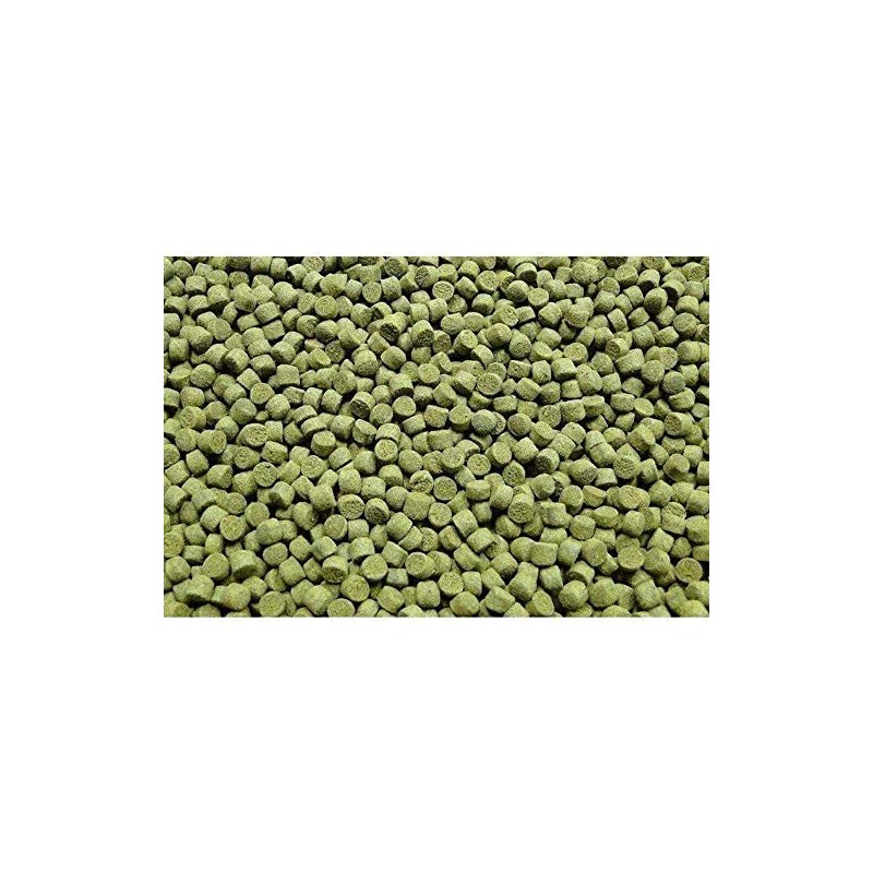 Northfin Veggie Fish Food Formula – Slow Sinking Pellets for