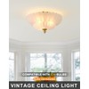 ANYLOVE Modern 12Inch Frosted Glass Flower Glass Semi Flush Mount