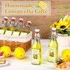 Havawish 12 Pcs Swing Top Glass Bottles for Limoncello Homemade