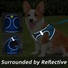 Reflective Dog Harness for Medium-Small Dogs Breathable Mesh Adjustable Vest/Walk-in