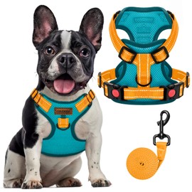 FAYOGOO Dog Harness, No Choke Front Clip, Dog Reflective Harness, No-Pull Adjustable Soft Padded Pet Vest Set for Small, Medium, Large Dogs, Walking (Blue, XL)