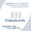 Citrato Magnesio Omega Cápsulas Vcaps Natgel