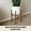 Fox & Fern Adjustable Plant Stand Indoor — 8 to