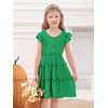 Girls Green Dress St. Patrick's Ruffle Sleeve Button Down A-Line