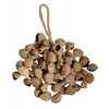 Terré Musical Instruments XXL Pangi Pangium Seeds Shaker