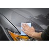 BUGS OUT Bug Removing Sponge (6 Pack) - No Scratch